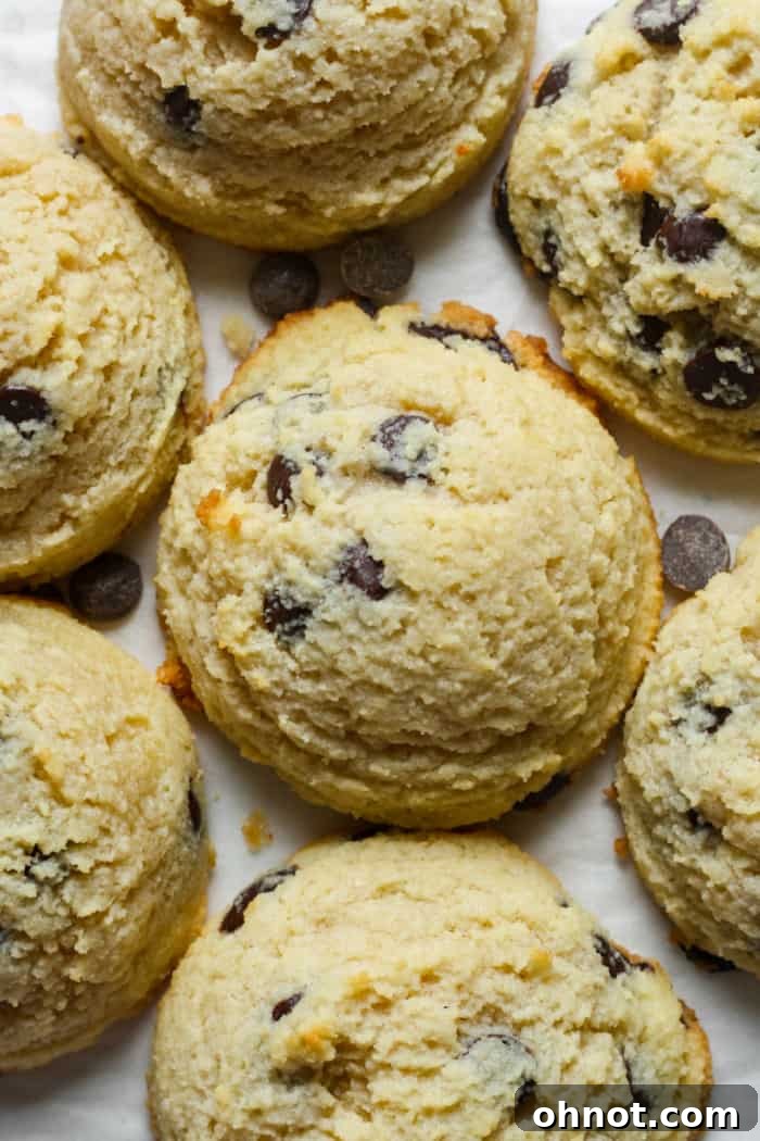 Delicious freshly baked low carb cookies on a cooling rack.