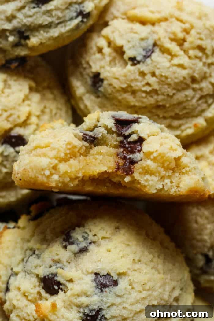 Sugar-free dessert: a single low carb cookie with chocolate chips.