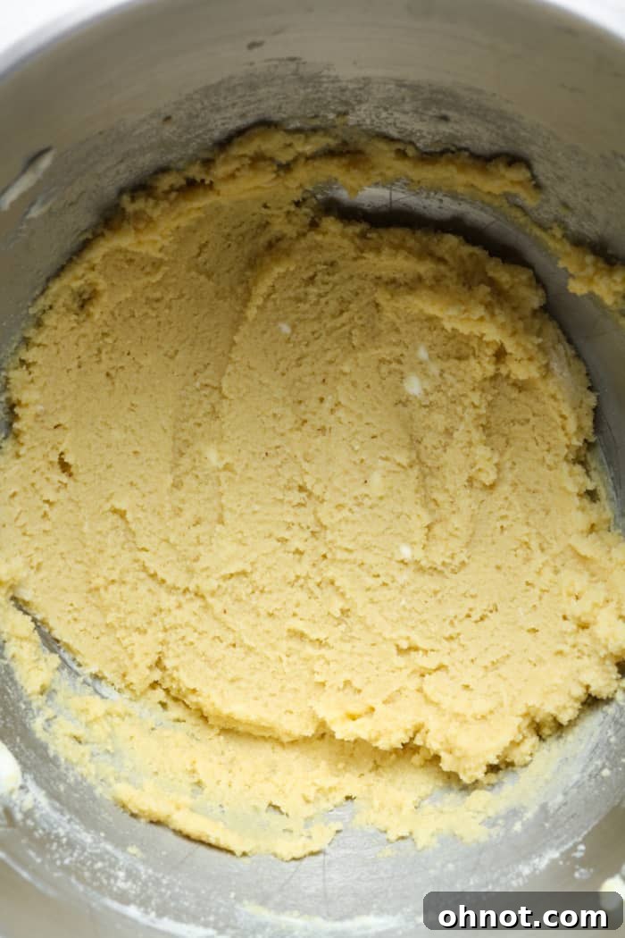 Keto cookie dough after mixing in almond flour and baking soda.