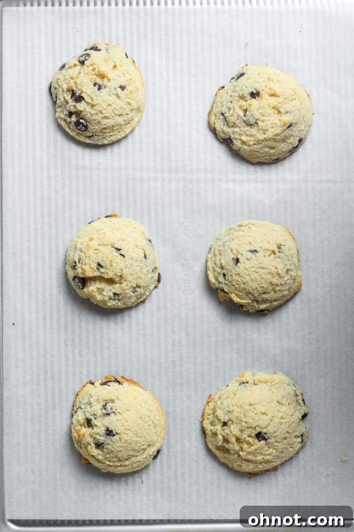 Freshly baked low carb cookies on a baking sheet, with lightly golden edges.