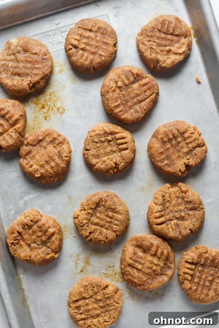 A pan of freshly baked low carb peanut butter cookies.