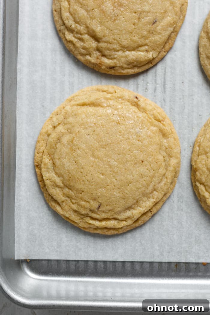 Baked espresso cookies on pan. Freshly baked espresso cookies, golden and slightly spread, on a parchment-lined baking sheet.