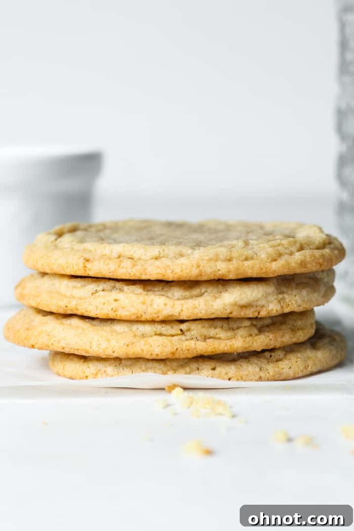 Chai latte cookie stack. A stack of thin, round espresso cookies, some with a dusting of cocoa or spice.