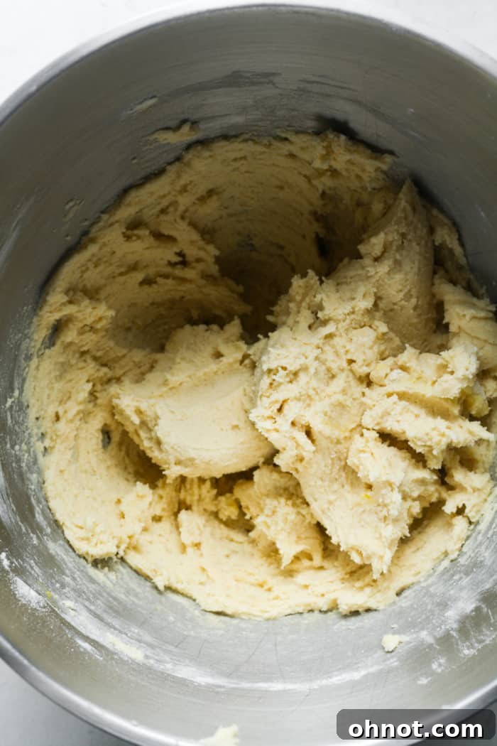 Vegan sugar cookie dough forming in a mixer.