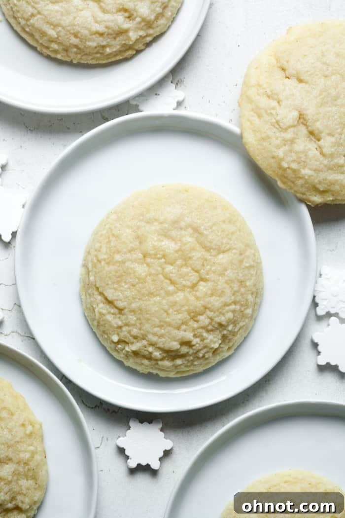 A single vegan sugar cookie presented on a plate, ready to be enjoyed.