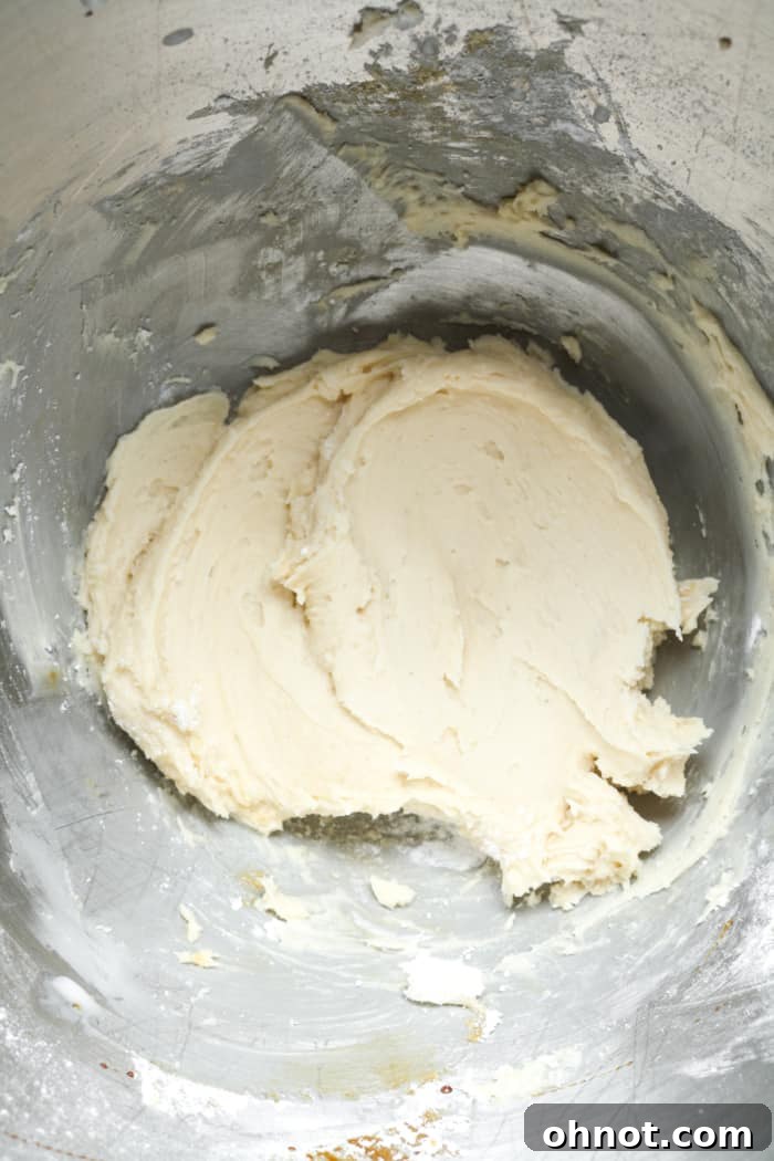 Vegan buttercream with powdered sugar being mixed in a stand mixer.