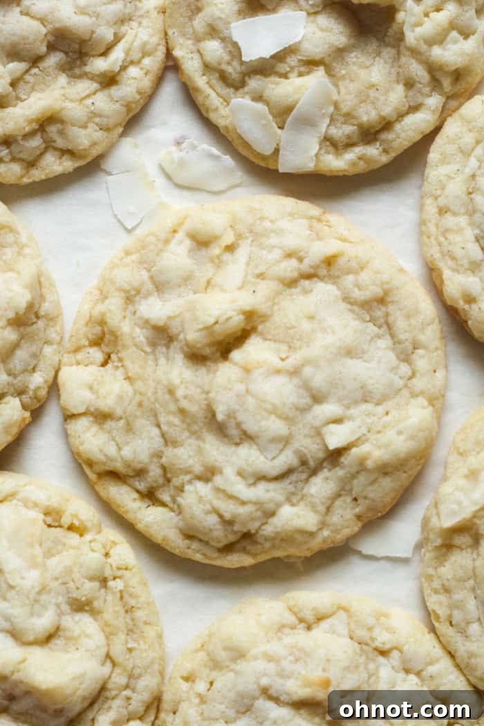 Two buttery coconut cookies with visible flakes, one stacked on top of the other, showcasing their inviting texture.