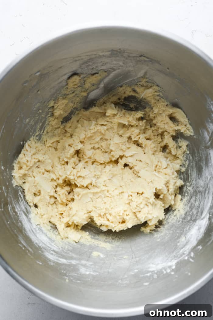 Coconut cookie dough in a mixing bowl with visible white coconut flakes folded in, illustrating the final stage of dough preparation.