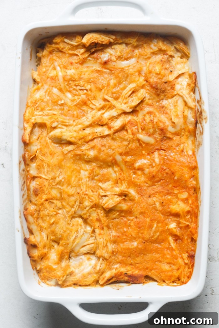 A freshly baked, bubbling spicy casserole dish, hot out of the oven, showcasing a golden-brown top.