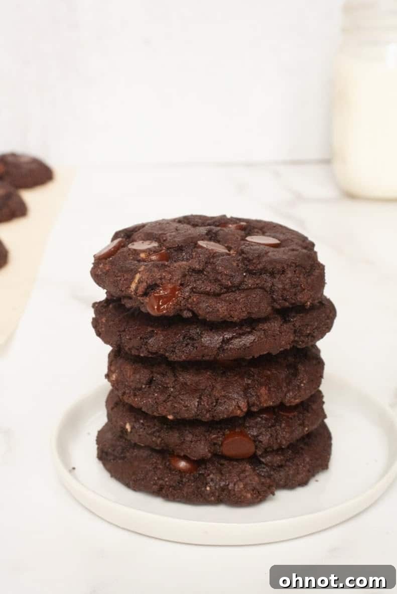 Delicious Double Chocolate Cookies with crispy edges and a soft center, perfect for a paleo, gluten-free, and dairy-free diet.