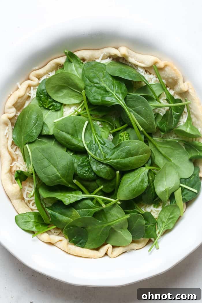 Fresh baby spinach leaves layered over shredded cheese in a pie crust, preparing for the egg custard.