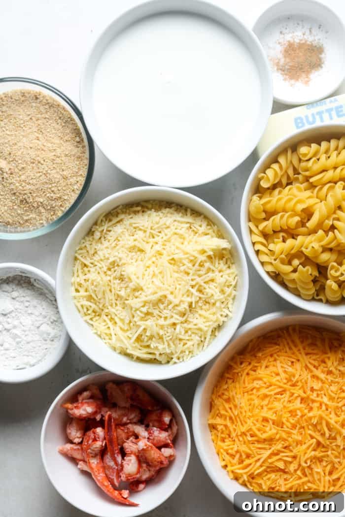 Arrangement of fresh ingredients for lobster mac and cheese: pasta, various cheeses, butter, milk, and cooked lobster meat.