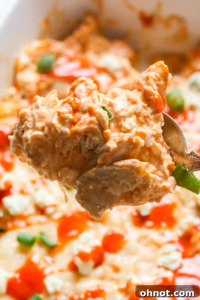 A close-up shot of the creamy buffalo chicken dip on a spoon, showing its rich texture and chunks of chicken.