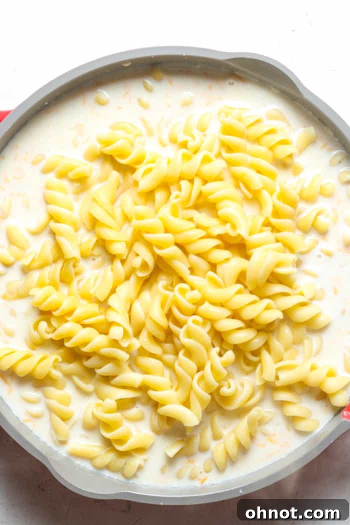 Cooked gluten-free pasta mixed thoroughly with the creamy cheese sauce in a skillet.