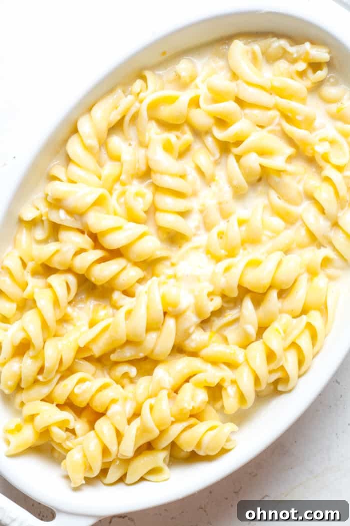 Gluten-free pasta in cheese sauce, transferred to a baking dish, ready for topping.