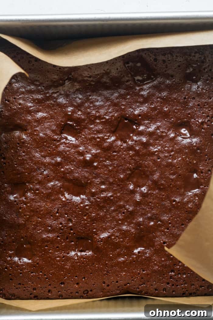 Freshly baked healthy brownies in the pan.