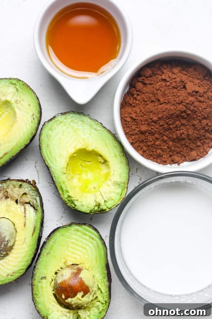 Ingredients for avocado chocolate pudding laid out on a table.