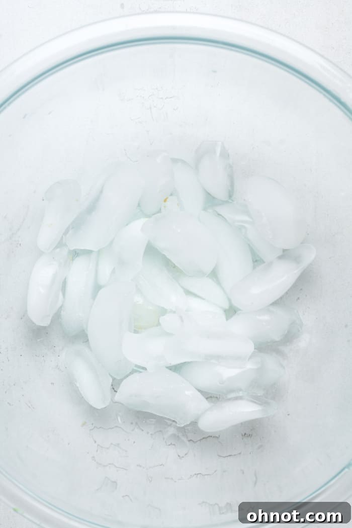 A large bowl filled with ice cubes, ready for a smaller bowl to be placed on top.