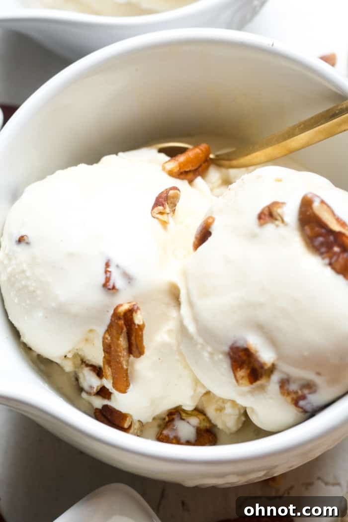 A creamy scoop of dessert in a bowl, likely butter pecan ice cream.