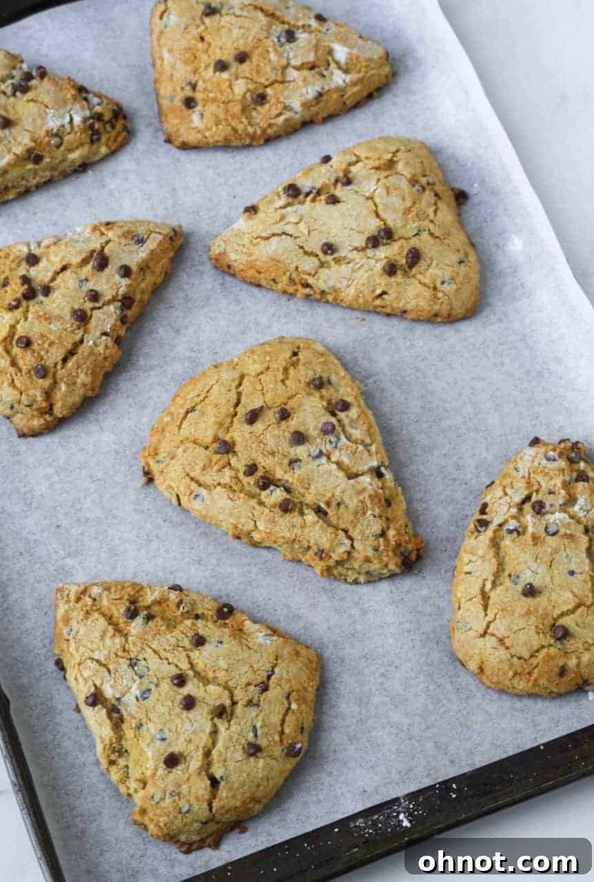 Freshly baked grain-free chocolate chip scones on a wire rack, ready to be enjoyed.