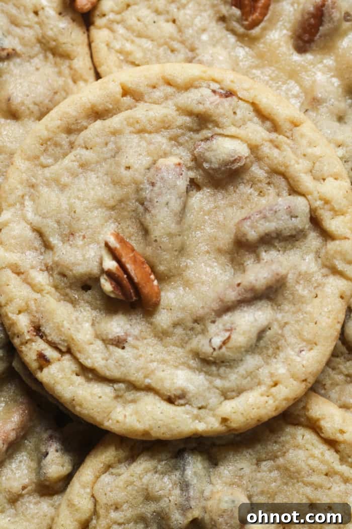 Close-up of pecan halves on top of cookies.