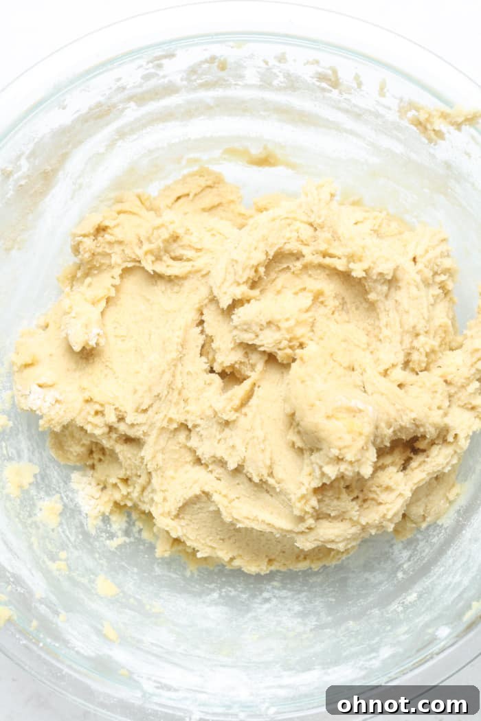 Cookie dough with dry ingredients mixed in, ready for chilling.