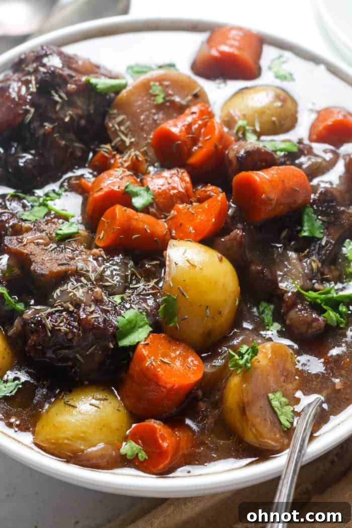 Hearty oxtail stew served in a rustic bowl.