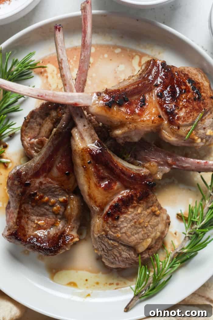 Beautifully presented lamb lollipops as an appetizer, garnished with fresh herbs.