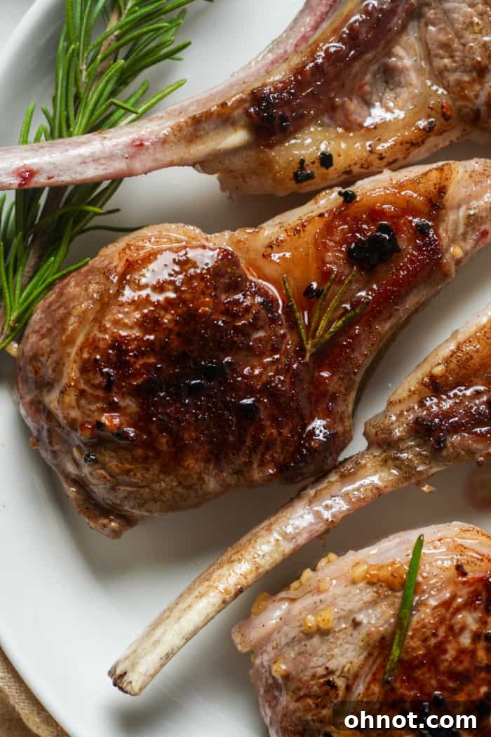 Close-up of a single perfectly cooked lamb lollipop on a white plate, showcasing its golden crust and juicy interior.