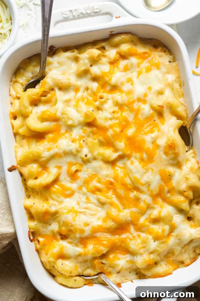 A bubbling, golden-brown Southern mac and cheese straight from the oven, showcasing its irresistible cheesy crust.