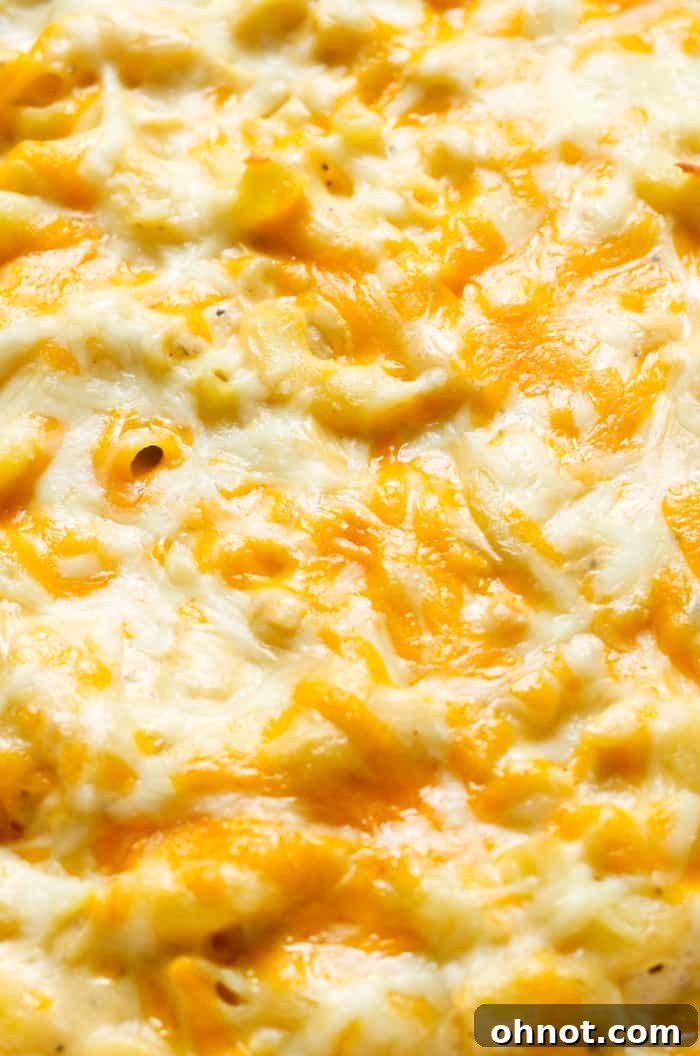 The baked cheesy pasta casserole, golden and bubbly, fresh from the oven, looking perfectly irresistible.