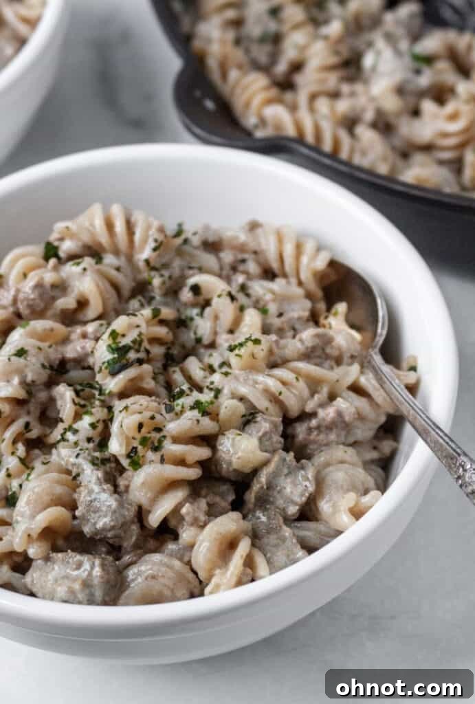 Dairy-Free Beef Stroganoff in a bowl, garnished with fresh parsley.