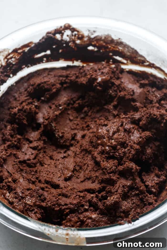 Thick, rich chocolate batter in a bowl after all dry ingredients have been incorporated.