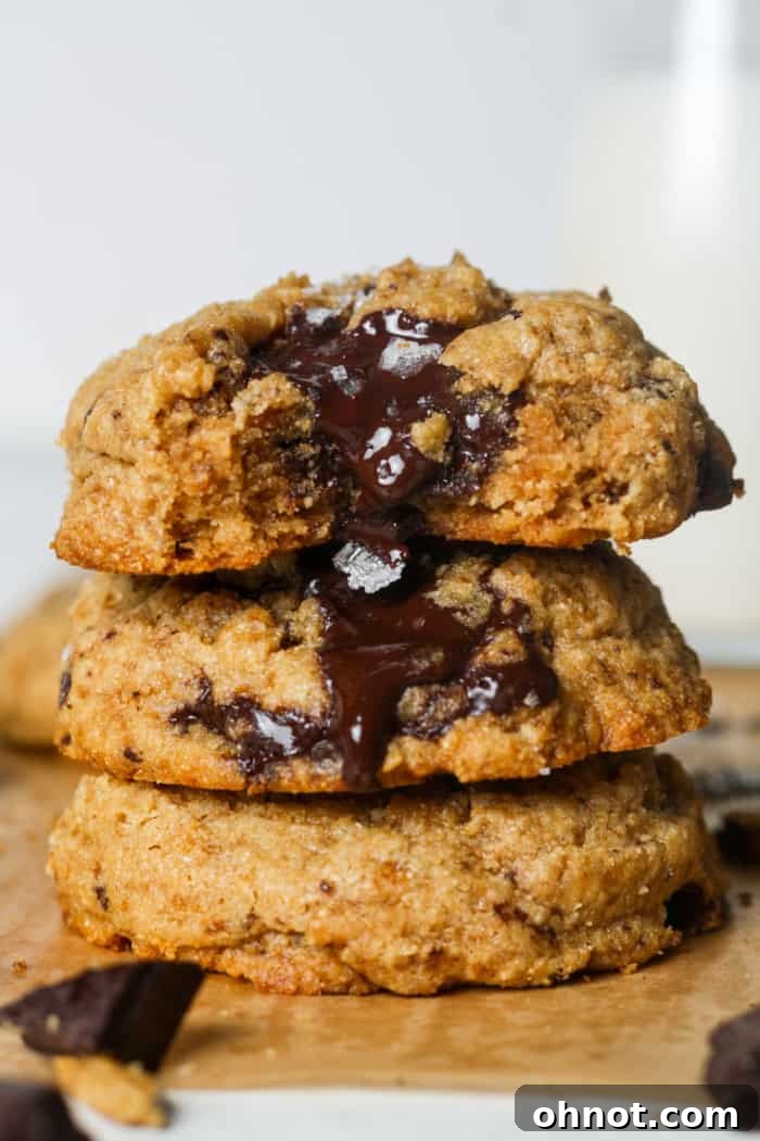 Paleo chocolate chip cookies with golden edges and soft centers.