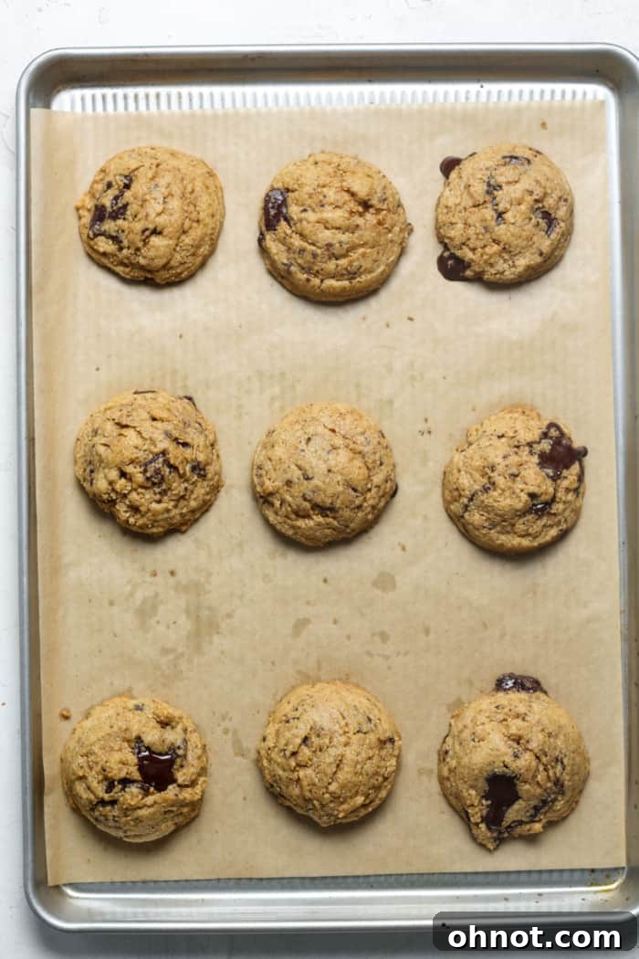 Freshly baked healthy paleo cookies on a baking sheet.