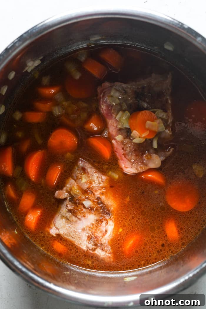 All ingredients (except thickener) combined in the Instant Pot.