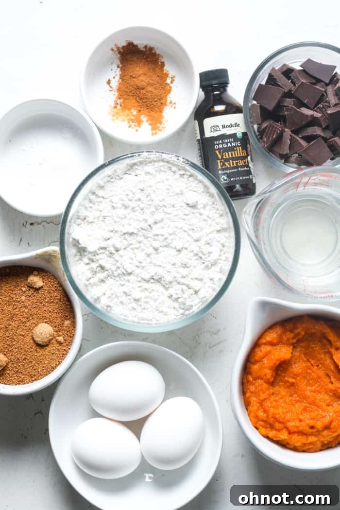 Ingredients for pumpkin chocolate chip bread laid out on a counter.