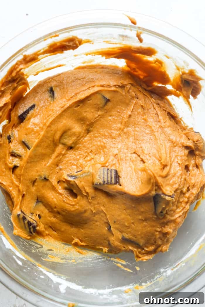 Chocolate pumpkin batter with chocolate chips folded in.