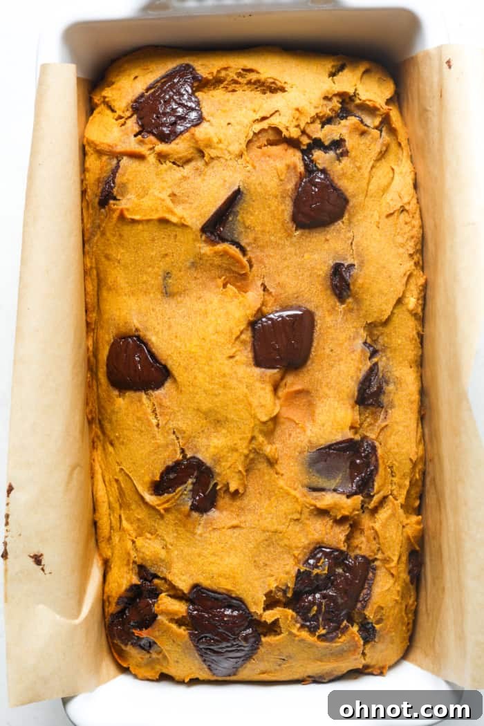 Freshly baked pumpkin bread loaf.