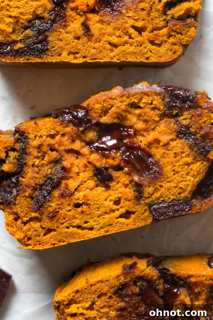 A delectable piece of pumpkin bread with chocolate chips.