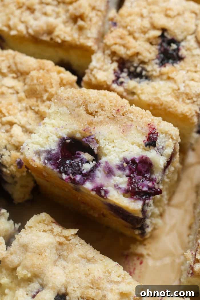 A whole baked blueberry coffee cake with a thick, golden streusel topping, cooling on a wire rack.