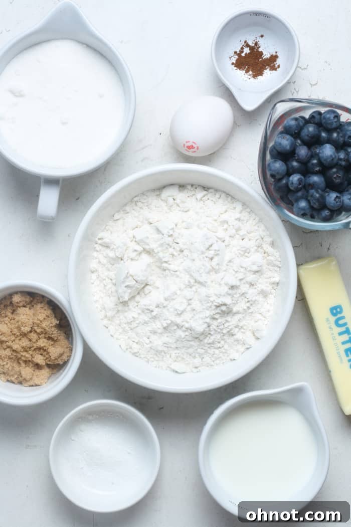 Assortment of fresh ingredients laid out for baking blueberry coffee cake: butter, sugar, eggs, milk, flour, baking powder, lemon extract, and fresh blueberries.