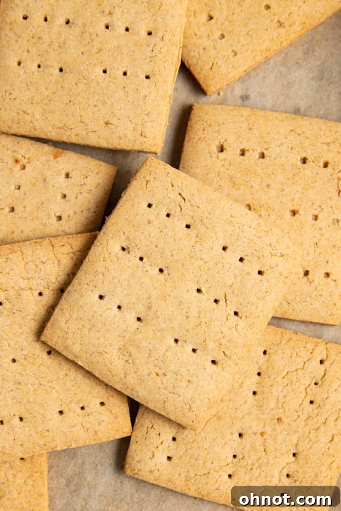 Close-up of baked gluten-free graham crackers with characteristic small holes, perfectly golden and crisp, arranged on a cooling rack.