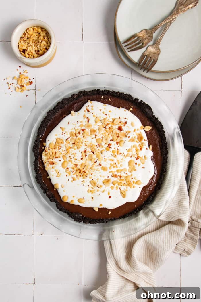 The finished no-bake chocolate peanut butter pie, garnished and ready to be served.