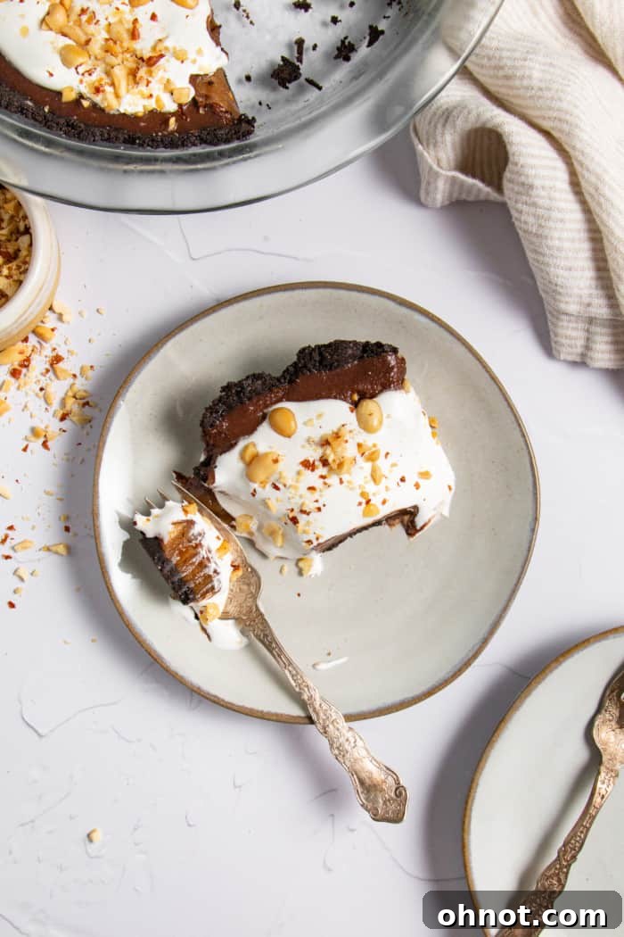 A perfectly cut slice of no-bake chocolate peanut butter pie, showing its layers.