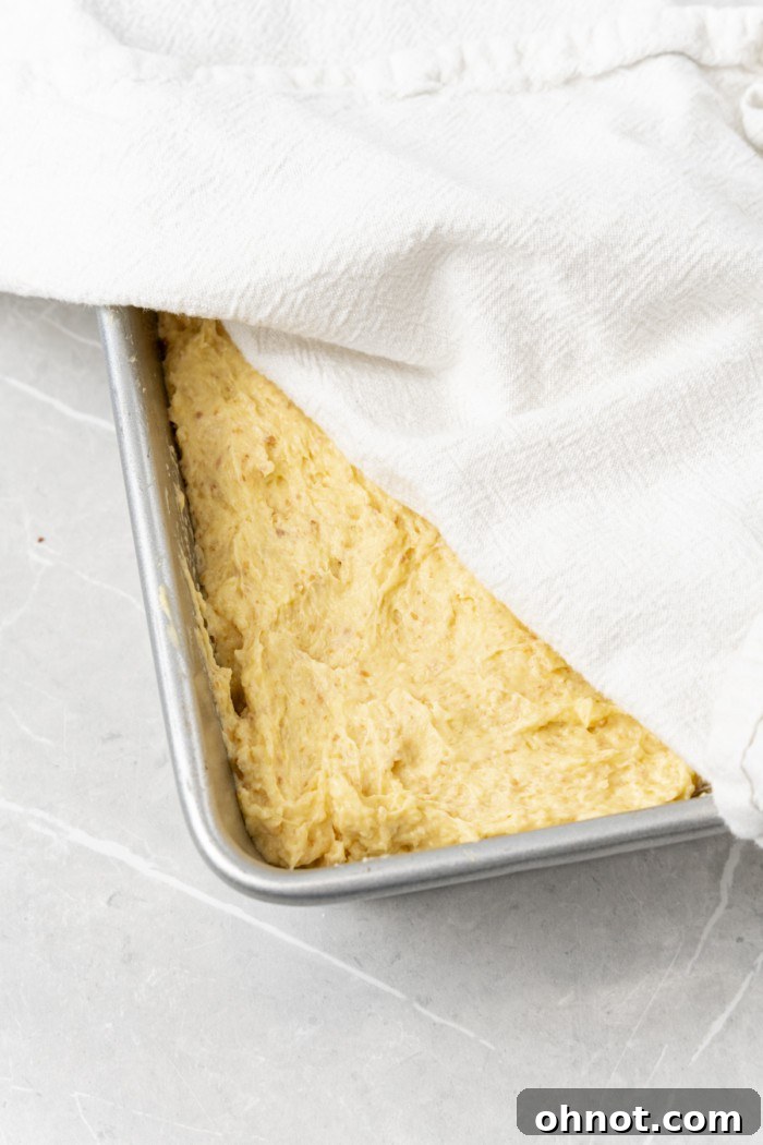 Gluten-free bread batter in a loaf pan, before rising.