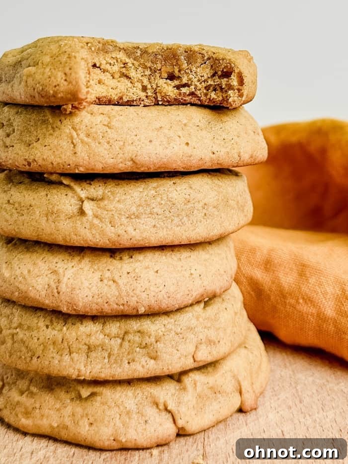 Mouth-watering pumpkin spice cookies, perfectly baked and ready to enjoy.