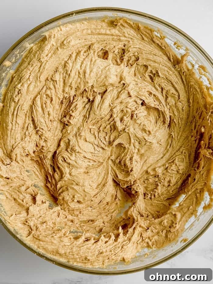The perfectly creamed pumpkin cookie dough, smooth and ready for baking.