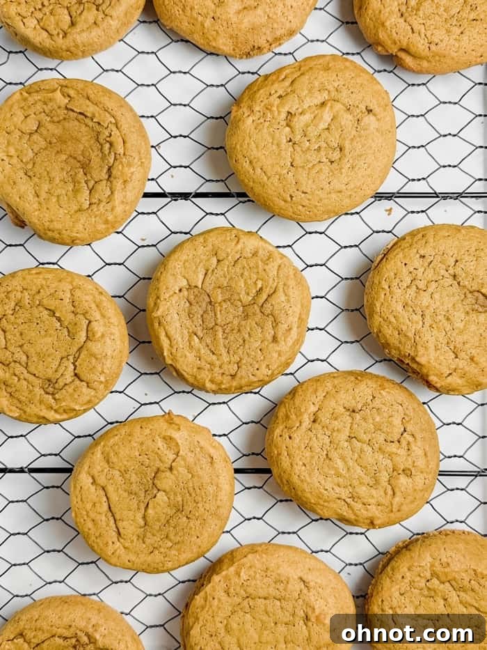 Freshly baked soft spiced pumpkin cookies cooling on a wire rack.