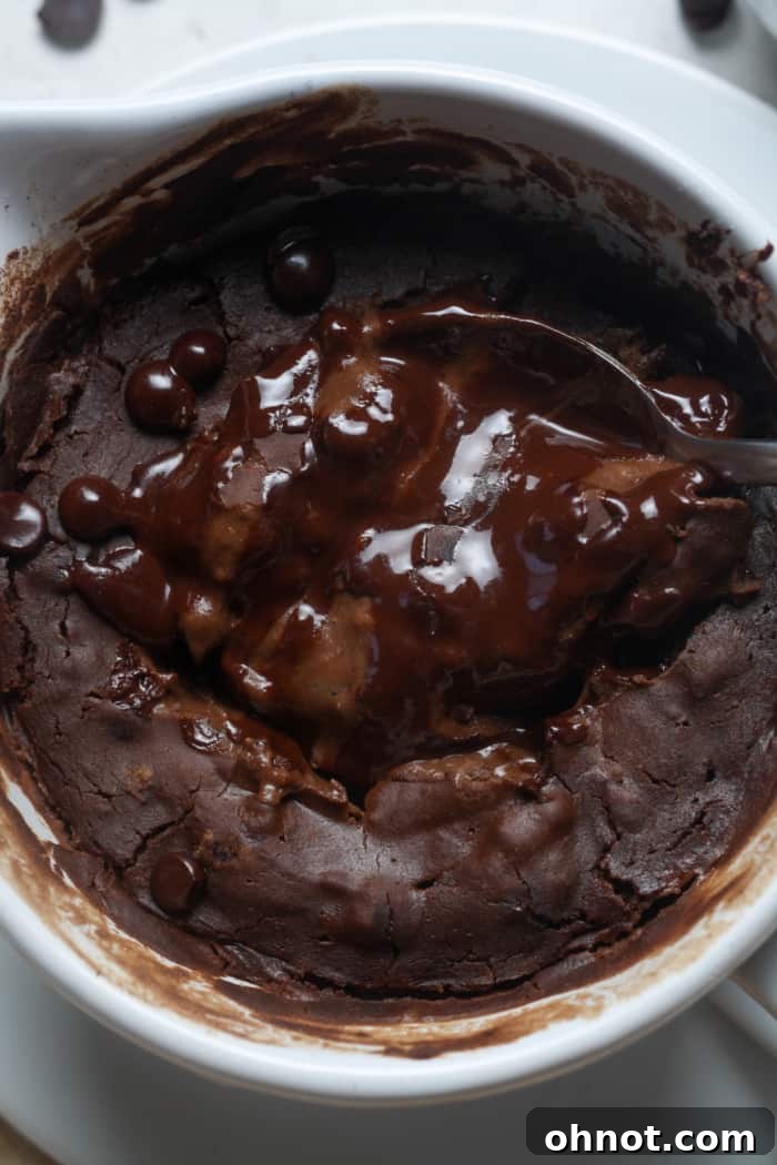 A rich and fudgy chocolate protein mug cake with a perfect texture.